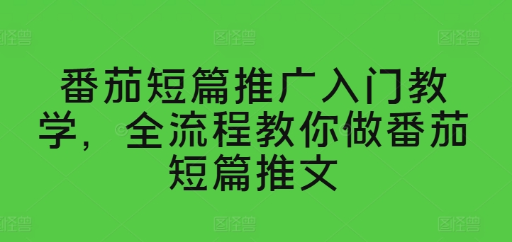 番茄短篇推广入门教学，全流程教你做番茄短篇推文跨境课程-外贸教程-精品网课-电商运营课库课堂