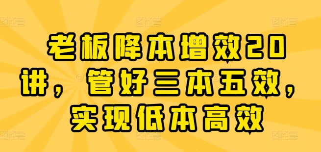 老板降本增效20讲，管好三本五效，实现低本高效跨境课程-外贸教程-精品网课-电商运营课库课堂