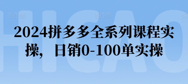 2024拼多多全系列课程实操，日销0-100单实操【必看】跨境课程-外贸教程-精品网课-电商运营课库课堂