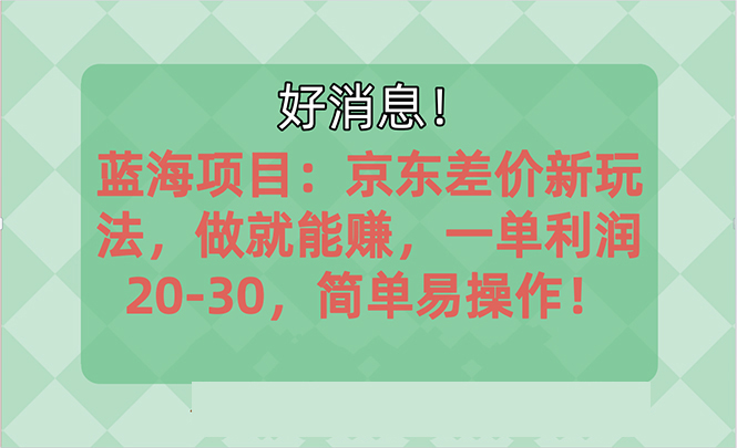 越早知道越能赚到钱的蓝海项目：京东大平台操作，一单利润20-30，简单…跨境课程-外贸教程-精品网课-电商运营课库课堂