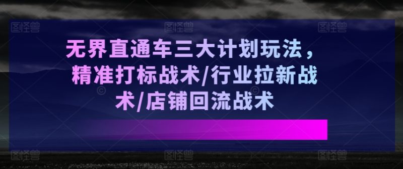 无界直通车三大计划玩法，精准打标战术/行业拉新战术/店铺回流战术跨境课程-外贸教程-精品网课-电商运营课库课堂