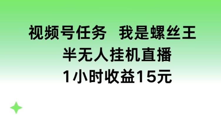 视频号任务，我是螺丝王， 半无人挂机1小时收益15元跨境课程-外贸教程-精品网课-电商运营课库课堂
