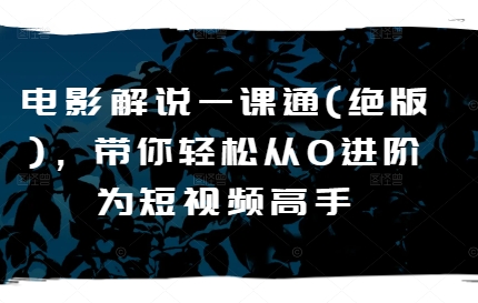 电影解说一课通(绝版)，带你轻松从0进阶为短视频高手跨境课程-外贸教程-精品网课-电商运营课库课堂