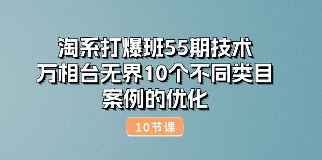 淘系打爆班55期技术：万相台无界10个不同类目案例的优化（10节）跨境课程-外贸教程-精品网课-电商运营课库课堂