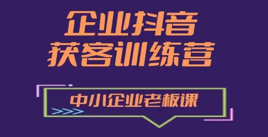 企业抖音营销获客增长训练营，中小企业老板必修课跨境课程-外贸教程-精品网课-电商运营课库课堂