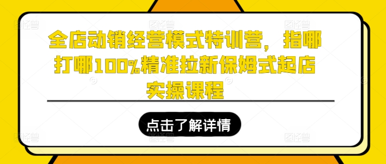 全店动销经营模式特训营，指哪打哪100%精准拉新保姆式起店实操课程跨境课程-外贸教程-精品网课-电商运营课库课堂
