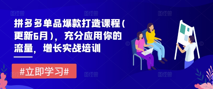 拼多多单品爆款打造课程(更新6月)，充分应用你的流量，增长实战培训跨境课程-外贸教程-精品网课-电商运营课库课堂