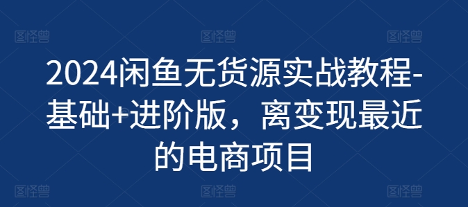 2024闲鱼无货源实战教程-基础+进阶版，离变现最近的电商项目跨境课程-外贸教程-精品网课-电商运营课库课堂