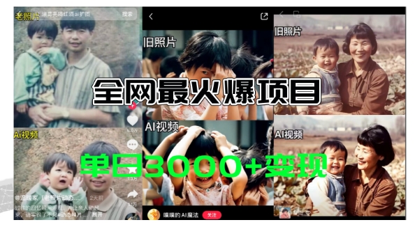 全网爆火的AI让老照片动起来教程，蹭热点日赚3k+，内含免费工具一键可生成跨境课程-外贸教程-精品网课-电商运营课库课堂