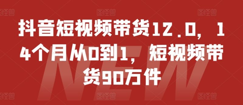 抖音短视频带货12.0，14个月从0到1，短视频带货90万件跨境课程-外贸教程-精品网课-电商运营课库课堂