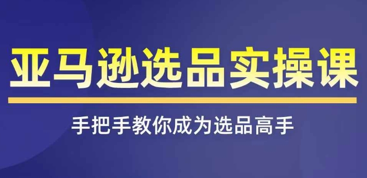 亚马逊选品实操课程，快速掌握亚马逊选品的技巧，覆盖亚马逊选品所有渠道跨境课程-外贸教程-精品网课-电商运营课库课堂