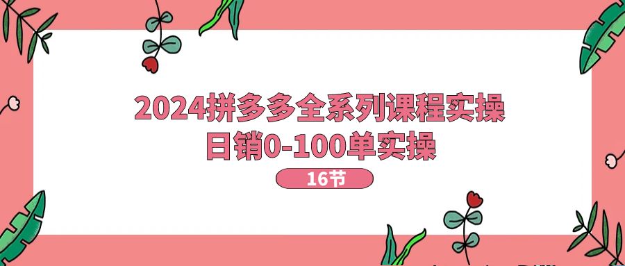 2024拼多多全系列课程实操，日销0-100单实操【16节课】跨境课程-外贸教程-精品网课-电商运营课库课堂