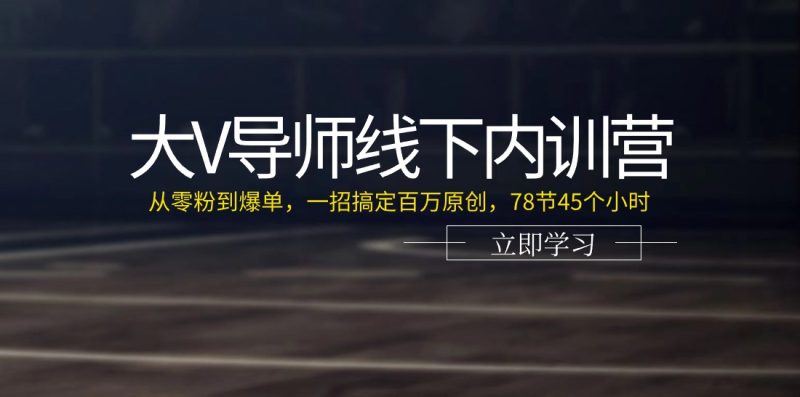 大V导师线下内训营：从零粉到爆单，一招搞定百万原创，78节45个小时跨境课程-外贸教程-精品网课-电商运营课库课堂