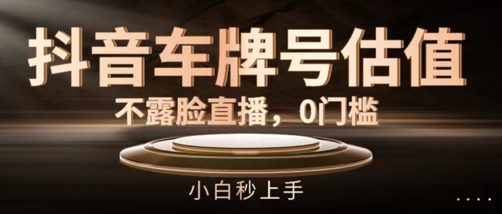 抖音车牌号估值，不露脸直播，0门槛，小白秒上手跨境课程-外贸教程-精品网课-电商运营课库课堂