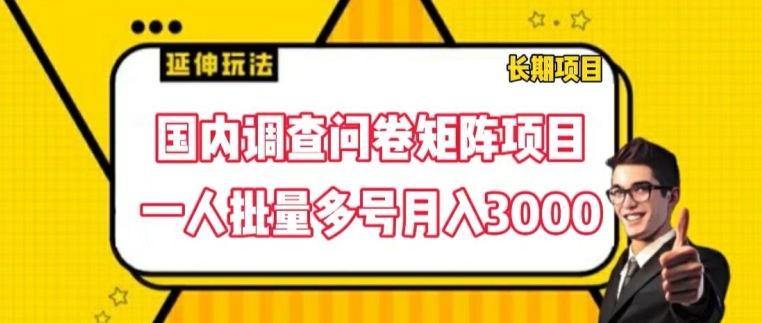 国内调查问卷矩阵项目，一人批量多号月入3000跨境课程-外贸教程-精品网课-电商运营课库课堂
