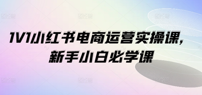 1V1小红书电商运营实操课，新手小白必学课跨境课程-外贸教程-精品网课-电商运营课库课堂