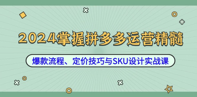 2024掌握拼多多运营精髓：爆款流程、定价技巧与SKU设计实战课跨境课程-外贸教程-精品网课-电商运营课库课堂