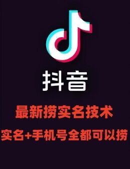 最新技术抖音捞实名+捞手机号技术，抖音直播封禁释放十名/手机号，直接替换出来!跨境课程-外贸教程-精品网课-电商运营课库课堂