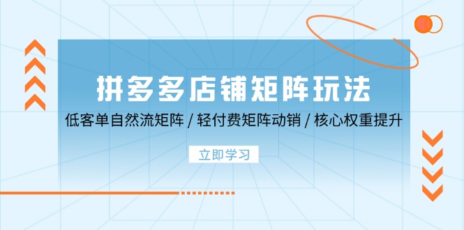 拼多多店铺矩阵玩法：低客单自然流矩阵 / 轻付费矩阵 动销 / 核心权重提升跨境课程-外贸教程-精品网课-电商运营课库课堂