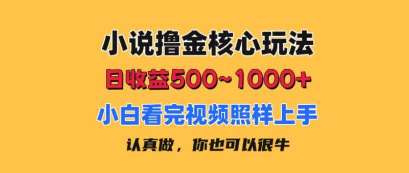 小说撸金核心玩法，日收益500-1000+，小白看完照样上手，0成本有手就行跨境课程-外贸教程-精品网课-电商运营课库课堂