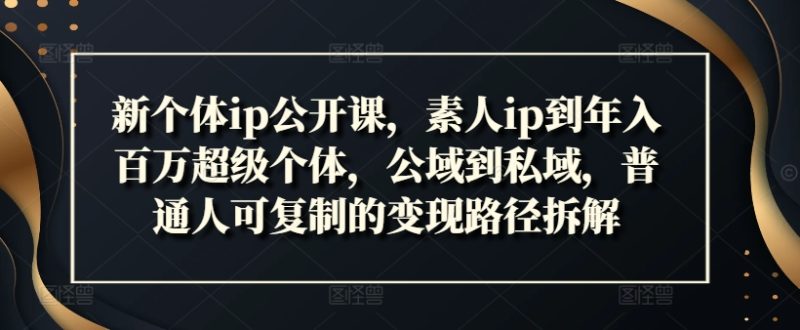 新个体ip公开课，素人ip到年入百万超级个体，公域到私域，普通人可复制的变现路径拆解跨境课程-外贸教程-精品网课-电商运营课库课堂
