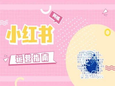 小红书运营指南，没有套路，全是经验跨境课程-外贸教程-精品网课-电商运营课库课堂