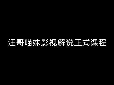 汪哥影视解说正式课程：剪映/PR教学/视解说剪辑5大黄金法则/全流程剪辑7把利器等等跨境课程-外贸教程-精品网课-电商运营课库课堂