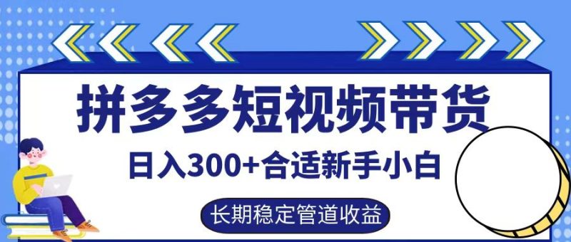 拼多多短视频带货日入300+，实操账户展示看就能学会跨境课程-外贸教程-精品网课-电商运营课库课堂