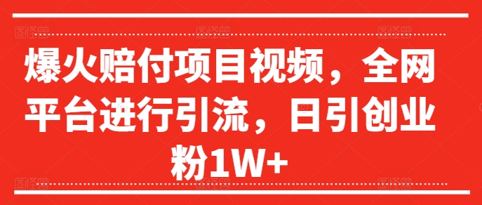 爆火赔付项目视频，全网平台进行引流，日引创业粉1W+跨境课程-外贸教程-精品网课-电商运营课库课堂