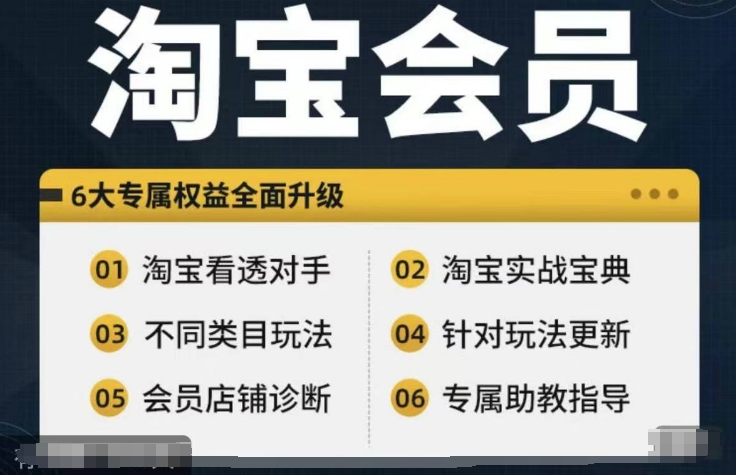 淘宝会员【淘宝所有课程，全面分析对手】，初级到高手全系实战宝典跨境课程-外贸教程-精品网课-电商运营课库课堂