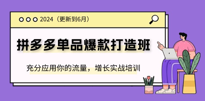 2024拼多多-单品爆款打造班(更新6月)，充分应用你的流量，增长实战培训跨境课程-外贸教程-精品网课-电商运营课库课堂