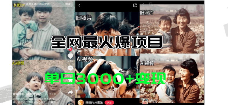 全网爆火的AI让老照片动起来教程，蹭热点日赚3000+，内含免费工具一键…跨境课程-外贸教程-精品网课-电商运营课库课堂