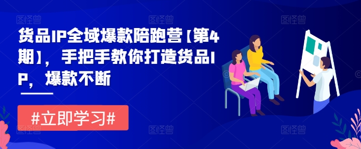 货品IP全域爆款陪跑营【第4期】，手把手教你打造货品IP，爆款不断跨境课程-外贸教程-精品网课-电商运营课库课堂