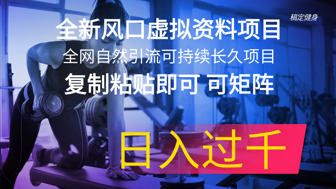 全新风口虚拟资料项目 全网自然引流可持续长久项目 复制粘贴即可可矩阵…跨境课程-外贸教程-精品网课-电商运营课库课堂