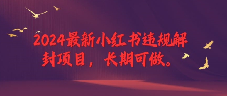 2024最新小红书违规解封项目，长期可做，一个可以做到退休的项目跨境课程-外贸教程-精品网课-电商运营课库课堂