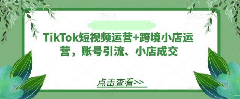 TikTok短视频运营+跨境小店运营,账号引流、小店成交跨境课程-外贸教程-精品网课-电商运营课库课堂