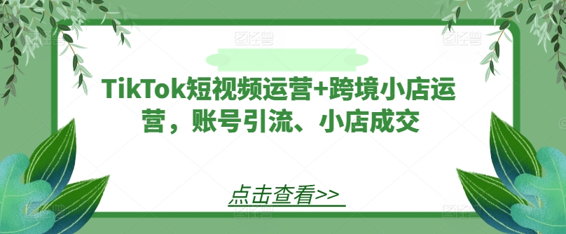 TikTok短视频运营+跨境小店运营，账号引流、小店成交跨境课程-外贸教程-精品网课-电商运营课库课堂