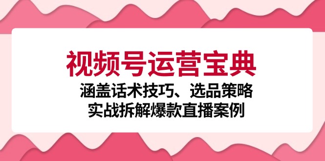 视频号运营宝典：涵盖话术技巧、选品策略、实战拆解爆款直播案例跨境课程-外贸教程-精品网课-电商运营课库课堂