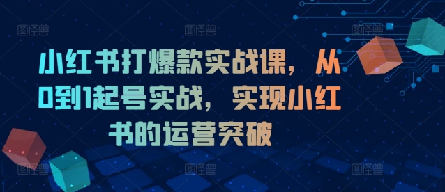 小红书打爆款实战课，从0到1起号实战，实现小红书的运营突破跨境课程-外贸教程-精品网课-电商运营课库课堂