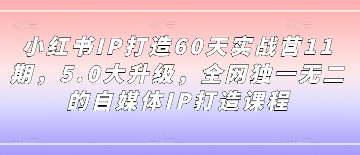小红书IP打造60天实战营11期，5.0大升级，全网独一无二的自媒体IP打造课程跨境课程-外贸教程-精品网课-电商运营课库课堂