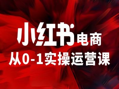 小红书电商从0-1实操运营课，让你从小白到精英跨境课程-外贸教程-精品网课-电商运营课库课堂