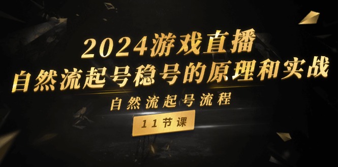 2024游戏直播-自然流起号稳号的原理和实战，自然流起号流程（11节）跨境课程-外贸教程-精品网课-电商运营课库课堂