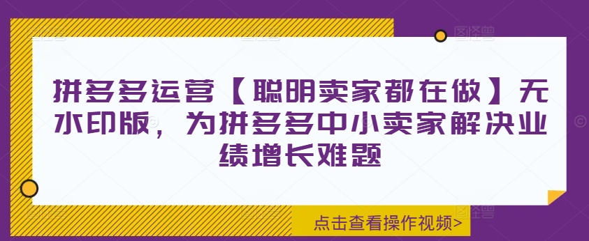 拼多多运营【聪明卖家都在做】无水印版，为拼多多中小卖家解决业绩增长难题跨境课程-外贸教程-精品网课-电商运营课库课堂