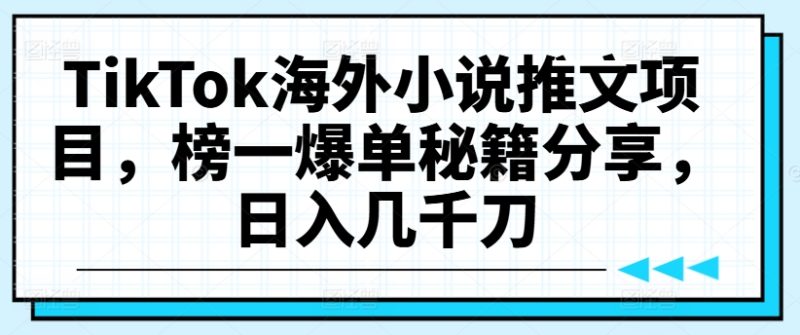 TikTok海外小说推文项目，榜一爆单秘籍分享，日入几千刀跨境课程-外贸教程-精品网课-电商运营课库课堂
