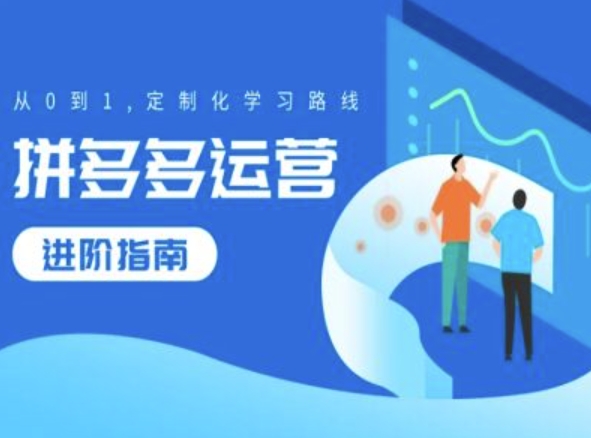 拼多多运营进阶指南，从0到1定制化学习路线跨境课程-外贸教程-精品网课-电商运营课库课堂
