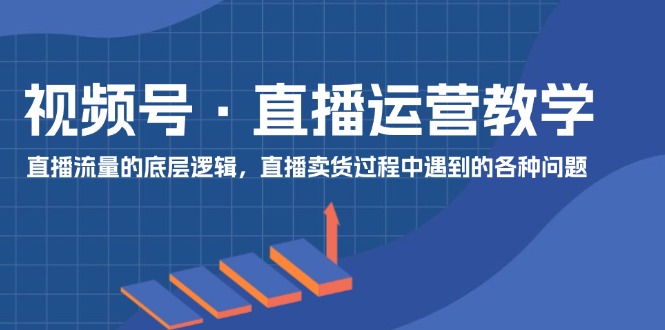视频号 直播运营教学：直播流量的底层逻辑，直播卖货过程中遇到的各种问题跨境课程-外贸教程-精品网课-电商运营课库课堂
