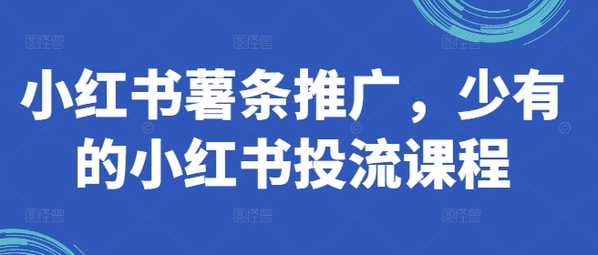 小红书薯条推广，少有的小红书投流课程跨境课程-外贸教程-精品网课-电商运营课库课堂