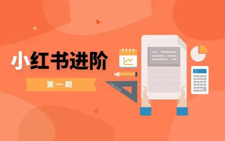 小红书进阶篇，零基础小白实战课，普通人变现的课程跨境课程-外贸教程-精品网课-电商运营课库课堂