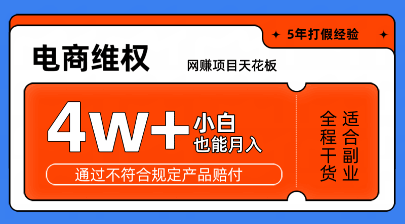 网赚项目天花板电商购物维权月收入稳定4w+独家玩法小白也能上手跨境课程-外贸教程-精品网课-电商运营课库课堂