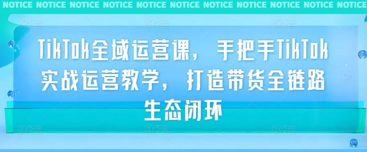 TikTok全域运营课，手把手TikTok实战运营教学，打造带货全链路生态闭环跨境课程-外贸教程-精品网课-电商运营课库课堂